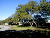 Caraway Elementary drive up