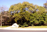 Oak View Park Entrance